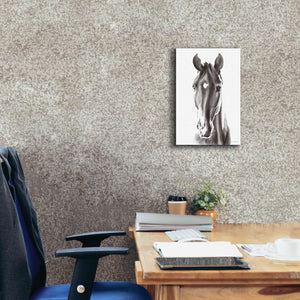 'Le Cheval Noir' by Alan Majchrowicz, Giclee Canvas Wall Art,12x18