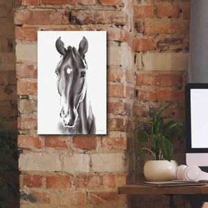 'Le Cheval Noir' by Alan Majchrowicz, Giclee Canvas Wall Art,12x18