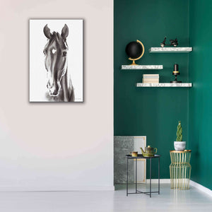 'Le Cheval Noir' by Alan Majchrowicz, Giclee Canvas Wall Art,26x40