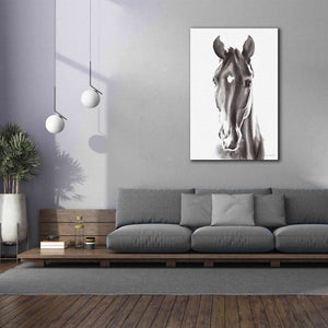 'Le Cheval Noir' by Alan Majchrowicz, Giclee Canvas Wall Art,40x60