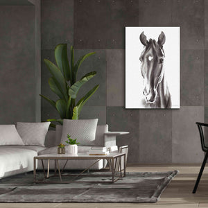 'Le Cheval Noir' by Alan Majchrowicz, Giclee Canvas Wall Art,40x60