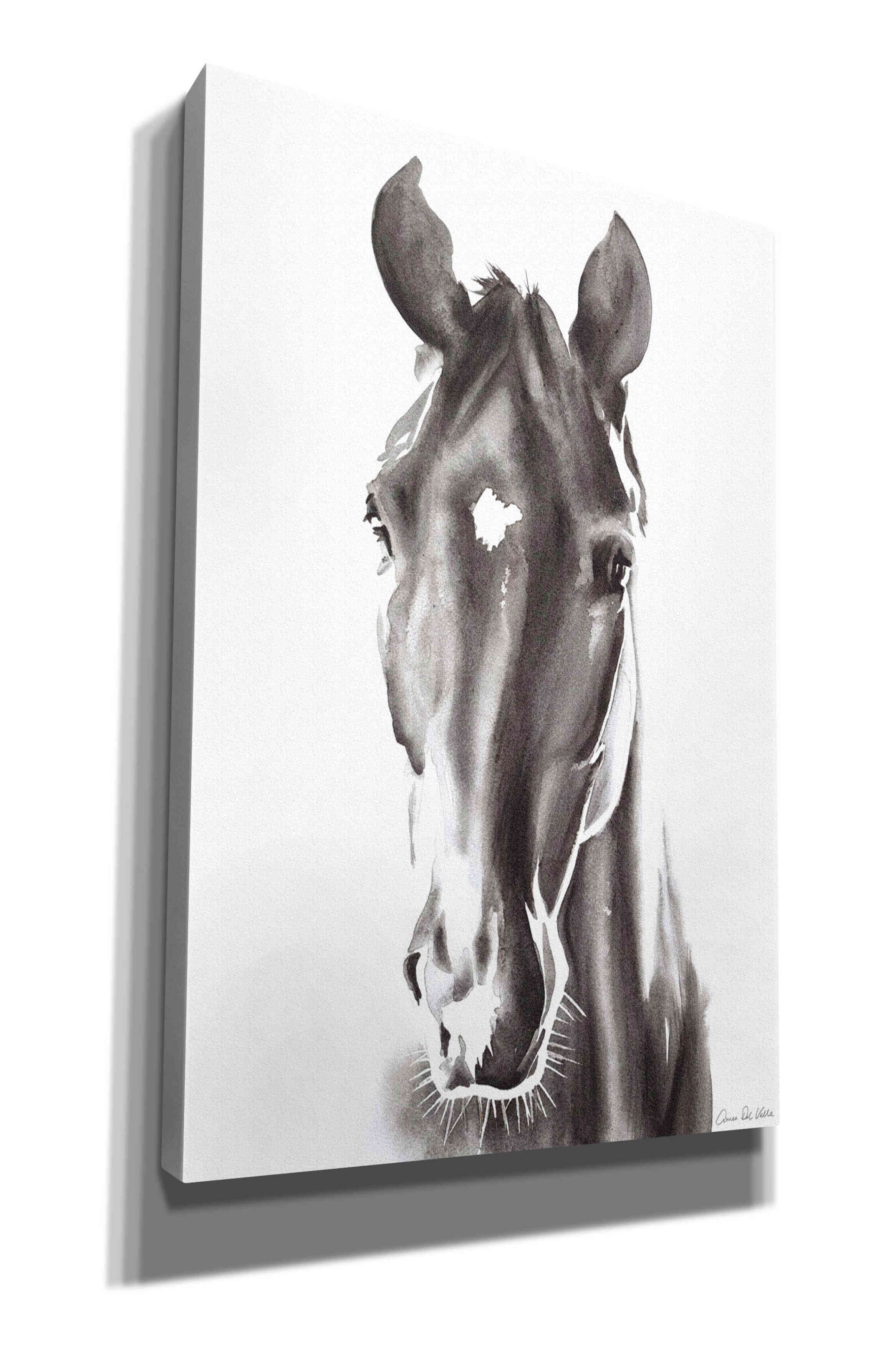 'Le Cheval Noir' by Alan Majchrowicz, Giclee Canvas Wall Art