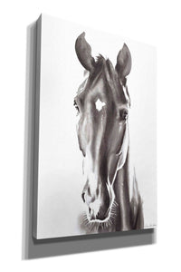 'Le Cheval Noir' by Alan Majchrowicz, Giclee Canvas Wall Art