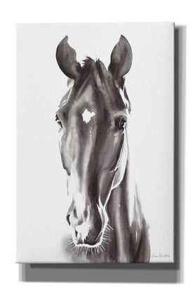 'Le Cheval Noir' by Alan Majchrowicz, Giclee Canvas Wall Art