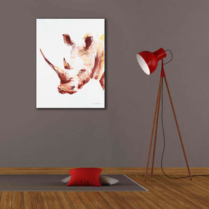 'Rhino' by Alan Majchrowicz, Giclee Canvas Wall Art,26x34