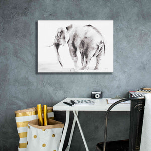 'Lone Elephant Gray' by Alan Majchrowicz, Giclee Canvas Wall Art,26x18