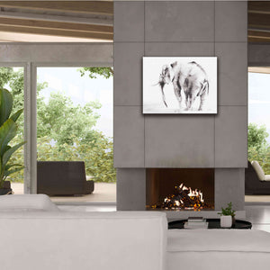 'Lone Elephant Gray' by Alan Majchrowicz, Giclee Canvas Wall Art,34x26