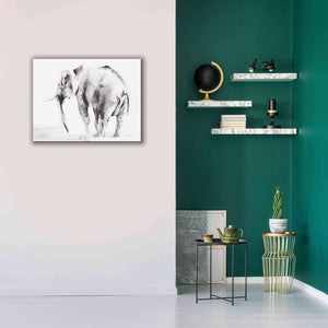 'Lone Elephant Gray' by Alan Majchrowicz, Giclee Canvas Wall Art,34x26