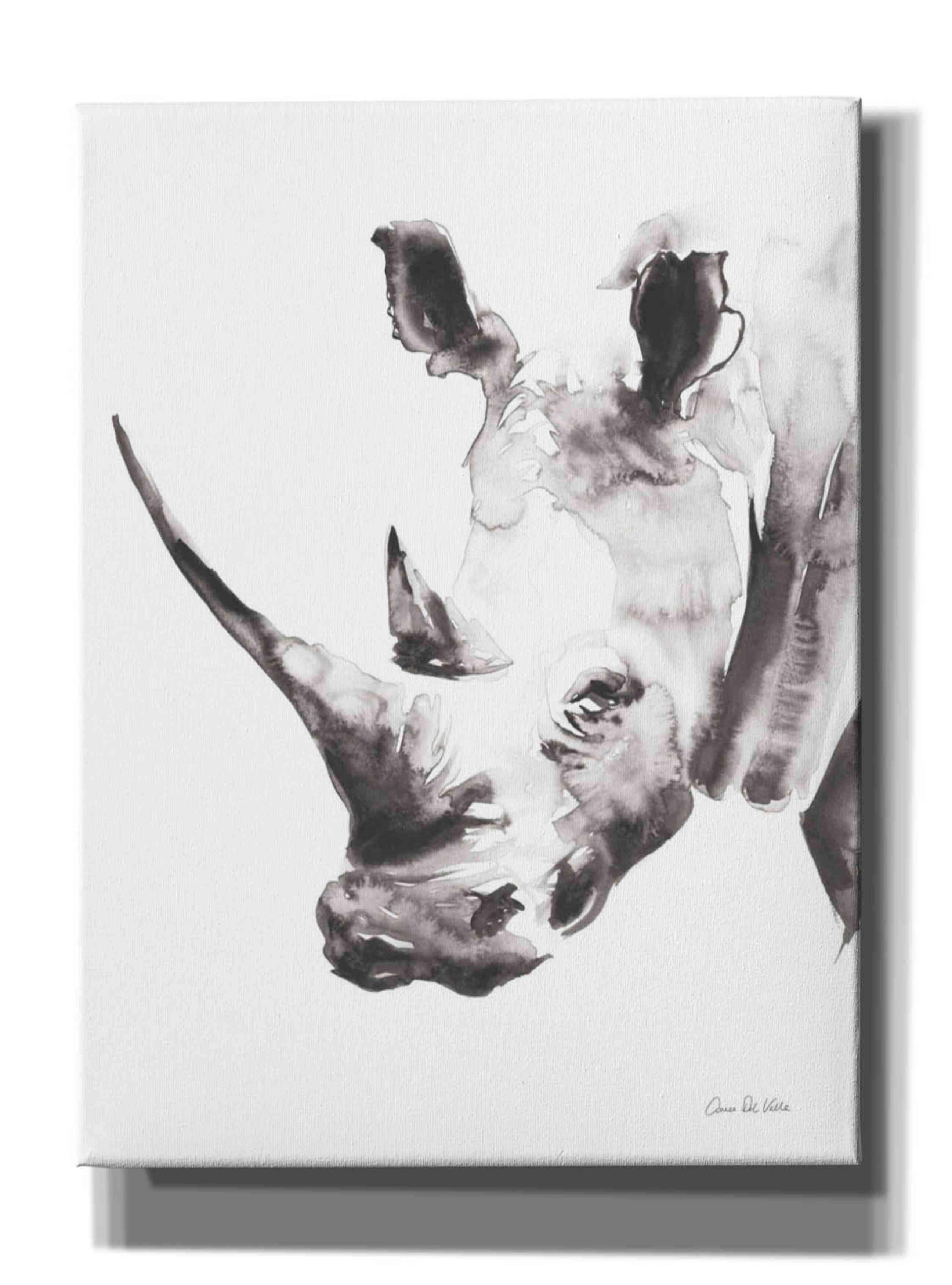 'Rhino Gray' by Alan Majchrowicz, Giclee Canvas Wall Art