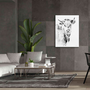 'Village Cow Gray' by Alan Majchrowicz, Giclee Canvas Wall Art,40x54