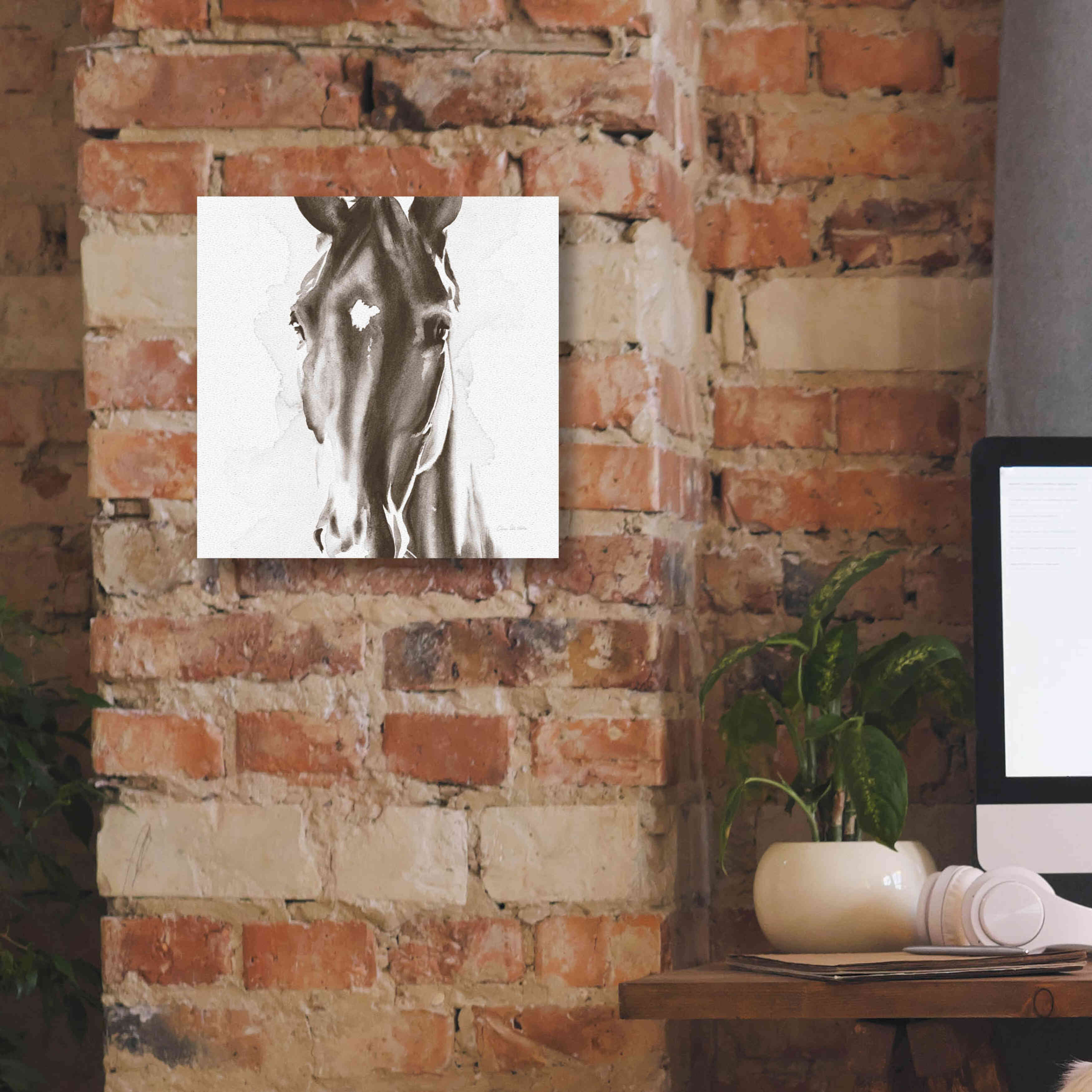 'Le Cheval Noir Brown' by Alan Majchrowicz, Giclee Canvas Wall Art,12x12