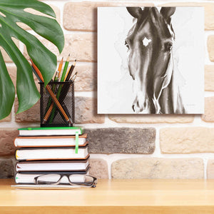 'Le Cheval Noir Brown' by Alan Majchrowicz, Giclee Canvas Wall Art,12x12