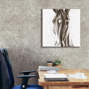 'Le Cheval Noir Brown' by Alan Majchrowicz, Giclee Canvas Wall Art,26x26
