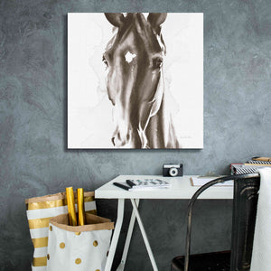'Le Cheval Noir Brown' by Alan Majchrowicz, Giclee Canvas Wall Art,26x26