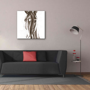 'Le Cheval Noir Brown' by Alan Majchrowicz, Giclee Canvas Wall Art,37x37