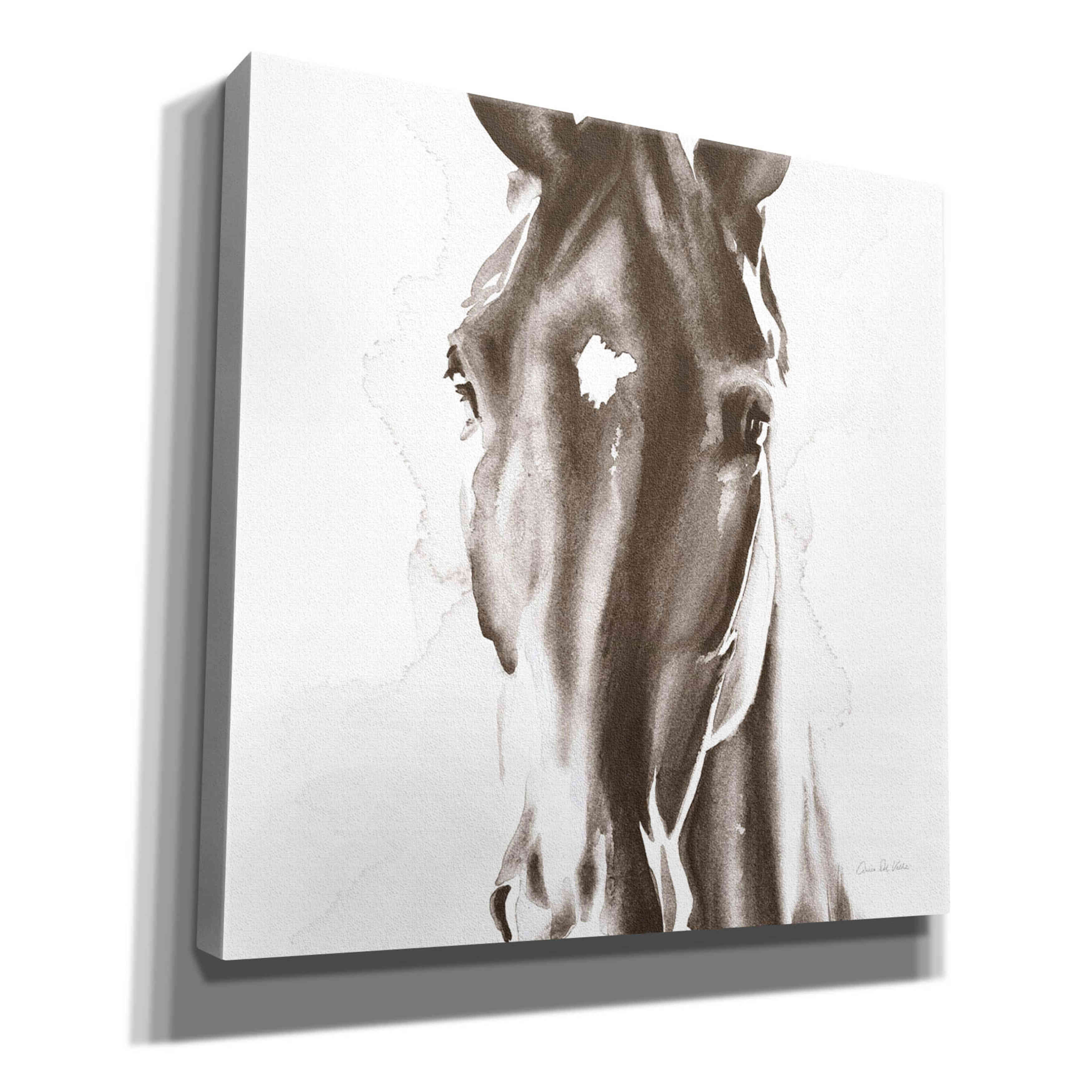 'Le Cheval Noir Brown' by Alan Majchrowicz, Giclee Canvas Wall Art