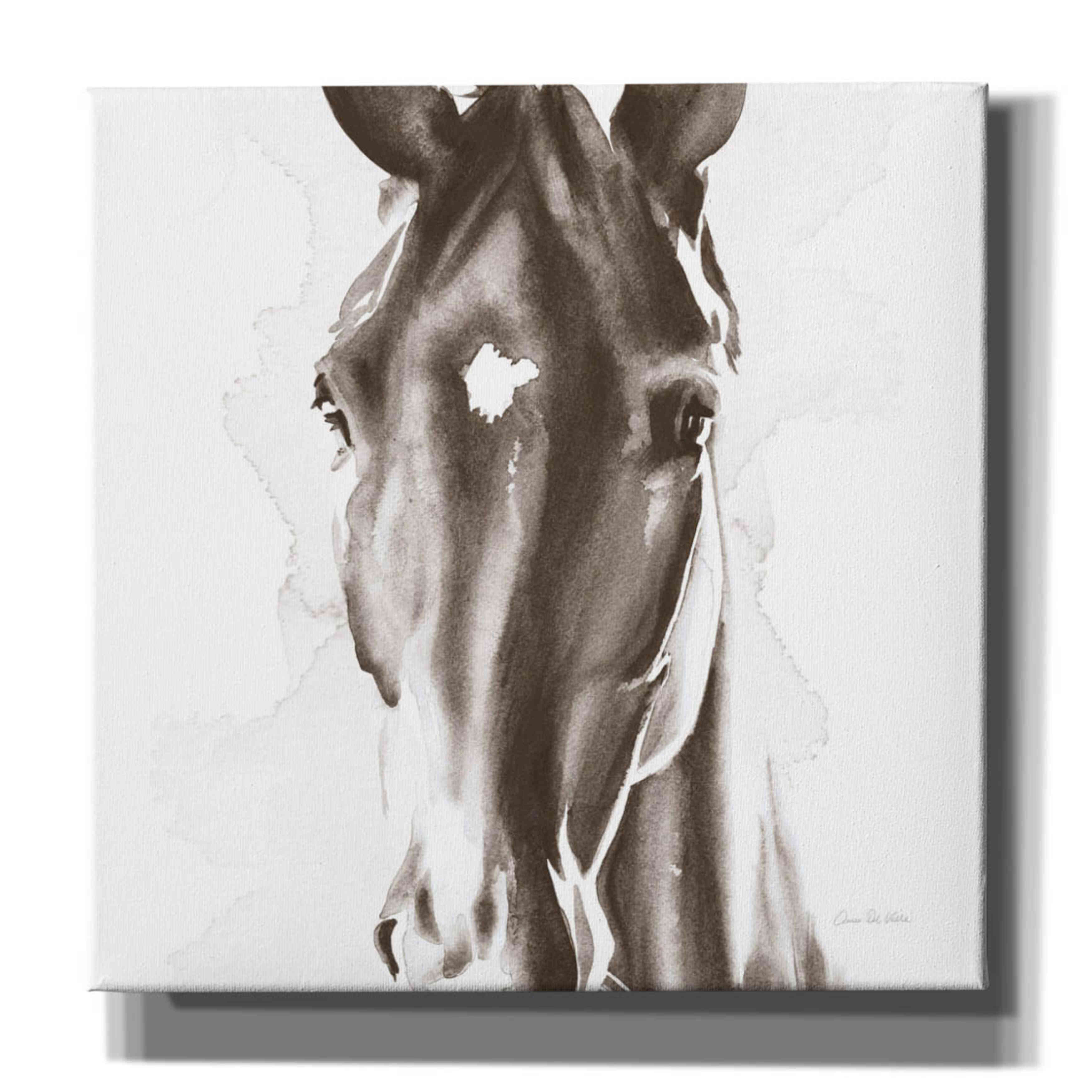 'Le Cheval Noir Brown' by Alan Majchrowicz, Giclee Canvas Wall Art