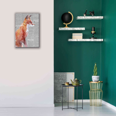 Image of 'Sly As A Fox Newsprint' by Alan Majchrowicz, Giclee Canvas Wall Art,18x26