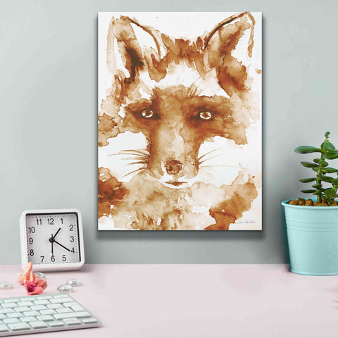 Image of 'Sweet And Sour Brown' by Alan Majchrowicz, Giclee Canvas Wall Art,12x16