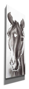 'Le Cheval Noir Horse Panel' by Alan Majchrowicz, Giclee Canvas Wall Art