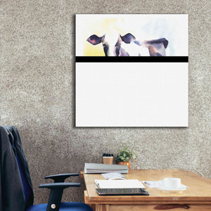 'Holstein IV' by Alan Majchrowicz, Giclee Canvas Wall Art,37x37