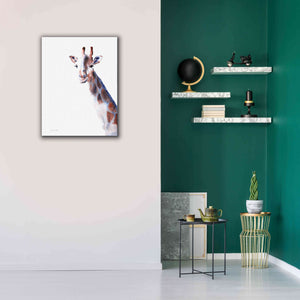 'Copper And Blue Giraffe' by Alan Majchrowicz, Giclee Canvas Wall Art,26x34