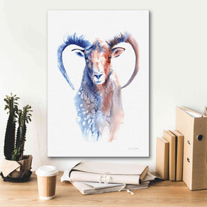 'Copper And Blue Ram' by Alan Majchrowicz, Giclee Canvas Wall Art,18x26