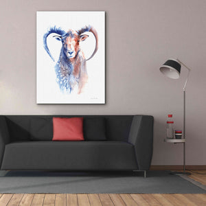 'Copper And Blue Ram' by Alan Majchrowicz, Giclee Canvas Wall Art,40x54