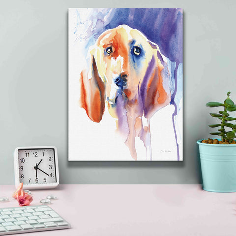 Image of 'Basset Hound' by Alan Majchrowicz, Giclee Canvas Wall Art,12x16