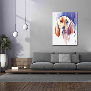 'Basset Hound' by Alan Majchrowicz, Giclee Canvas Wall Art,40x54