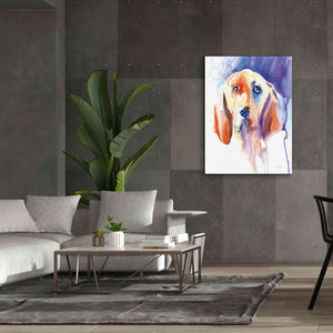 'Basset Hound' by Alan Majchrowicz, Giclee Canvas Wall Art,40x54