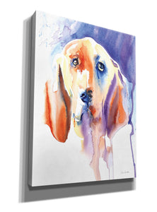 'Basset Hound' by Alan Majchrowicz, Giclee Canvas Wall Art