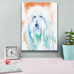 'Sheep Dog' by Alan Majchrowicz, Giclee Canvas Wall Art,12x16