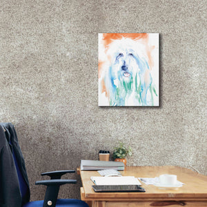 'Sheep Dog' by Alan Majchrowicz, Giclee Canvas Wall Art,20x24