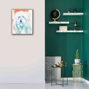 'Sheep Dog' by Alan Majchrowicz, Giclee Canvas Wall Art,20x24
