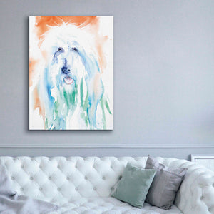 'Sheep Dog' by Alan Majchrowicz, Giclee Canvas Wall Art,40x54
