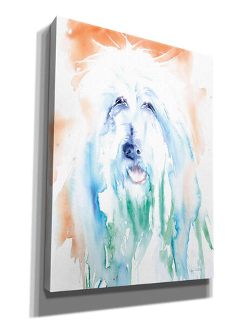 Image of 'Sheep Dog' by Alan Majchrowicz, Giclee Canvas Wall Art