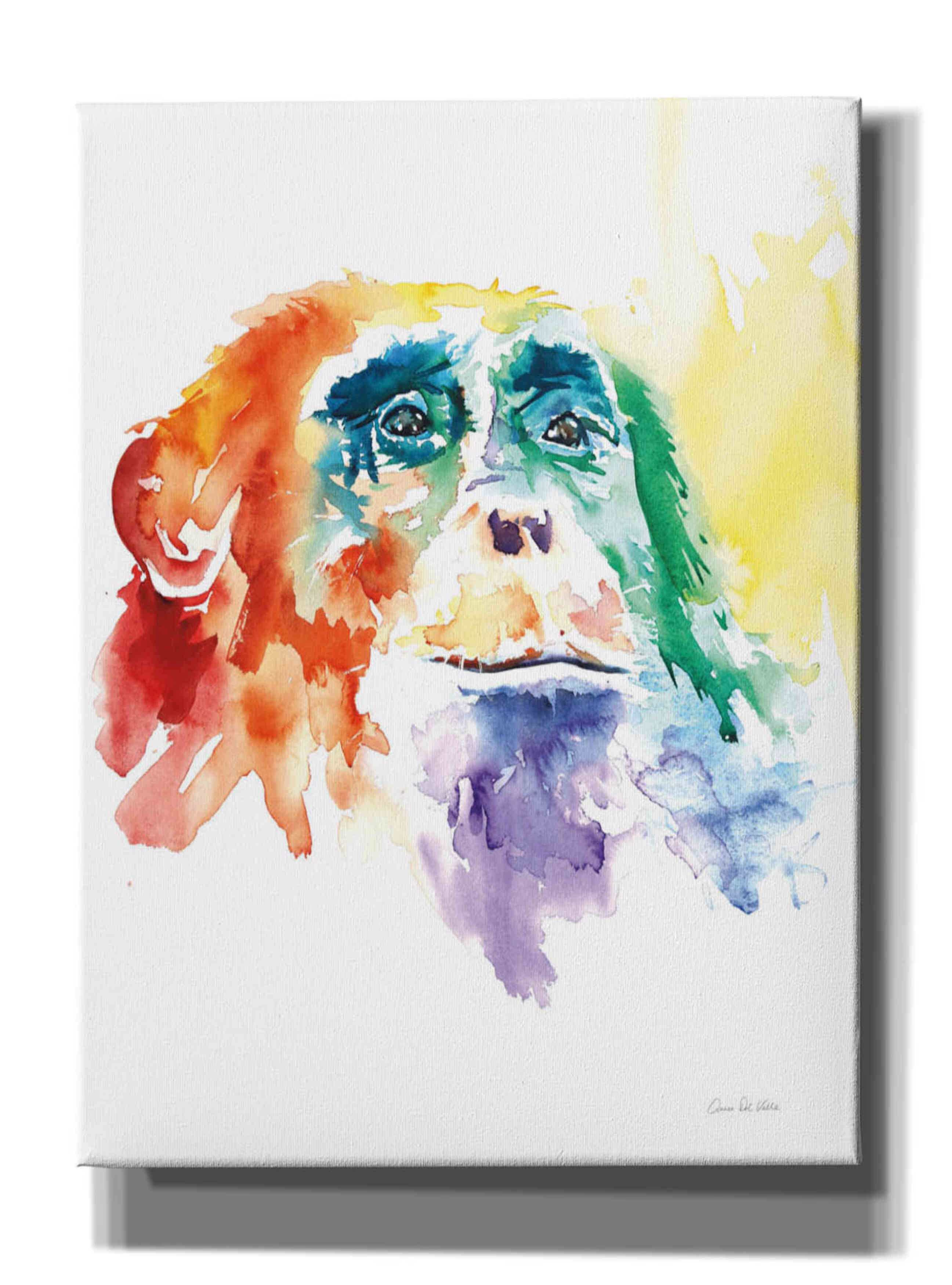'Chimpanzee I' by Alan Majchrowicz, Giclee Canvas Wall Art