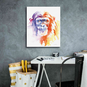 'Chimpanzee II' by Alan Majchrowicz, Giclee Canvas Wall Art,20x24
