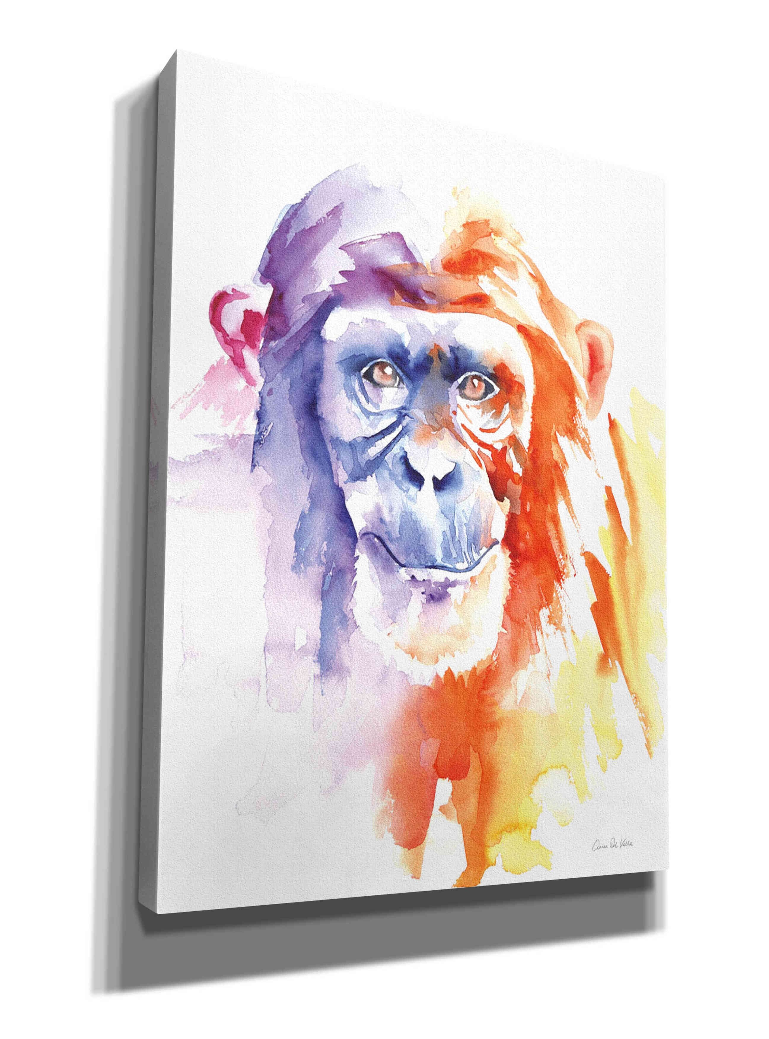 'Chimpanzee II' by Alan Majchrowicz, Giclee Canvas Wall Art