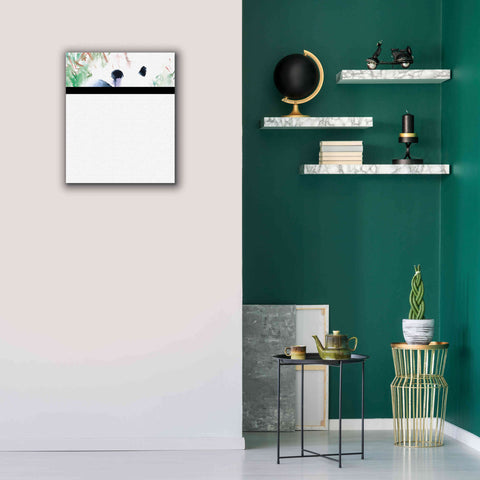 Image of 'Panda' by Alan Majchrowicz, Giclee Canvas Wall Art,20x24