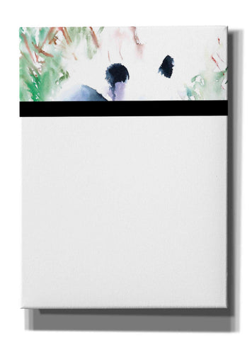 Image of 'Panda' by Alan Majchrowicz, Giclee Canvas Wall Art