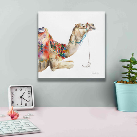 Image of 'Desert Camel I' by Alan Majchrowicz, Giclee Canvas Wall Art,12x12