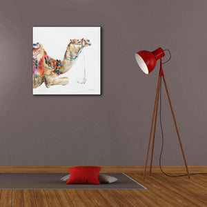 'Desert Camel I' by Alan Majchrowicz, Giclee Canvas Wall Art,26x26
