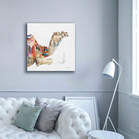 Image of 'Desert Camel I' by Alan Majchrowicz, Giclee Canvas Wall Art,37x37