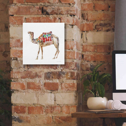 Image of 'Desert Camel II' by Alan Majchrowicz, Giclee Canvas Wall Art,12x12