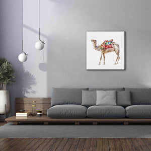 'Desert Camel II' by Alan Majchrowicz, Giclee Canvas Wall Art,37x37