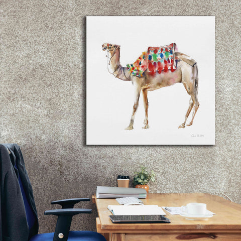 Image of 'Desert Camel II' by Alan Majchrowicz, Giclee Canvas Wall Art,37x37