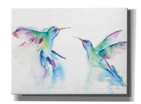 'Hummingbirds I' by Alan Majchrowicz, Giclee Canvas Wall Art