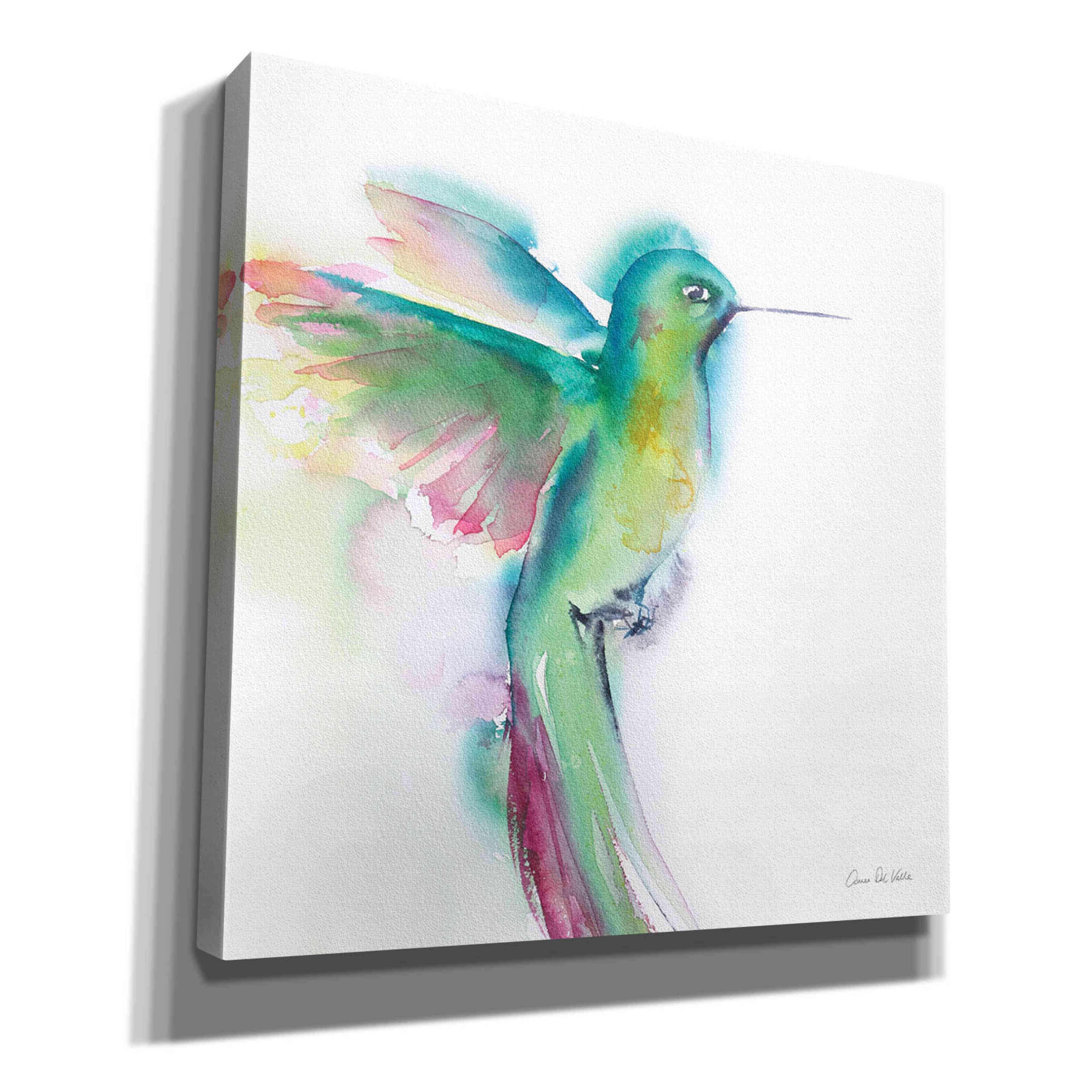 'Hummingbirds II' by Alan Majchrowicz, Giclee Canvas Wall Art